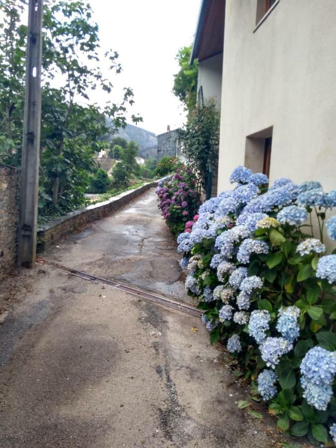 Vide Casa D.Dinis 빌라 외부 사진